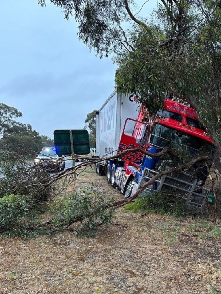 A truck driver is lucky to be alive after crashing into a tree, with a tree branch impaling the driver’s side of the windscreen. Picture: SAPOL