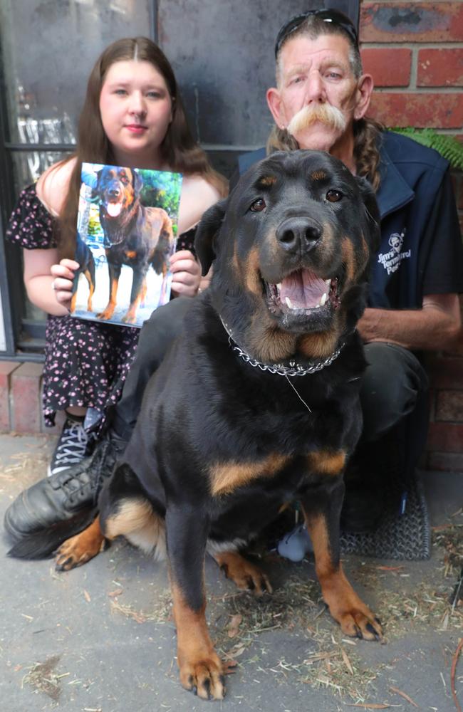 Greg Macpherson and his daughter Taylor have been left shattered after their pet rottweiler Thunder died of a snake bite. Rottweiler Rayne is their other pet dog. Picture: Mark Wilson.