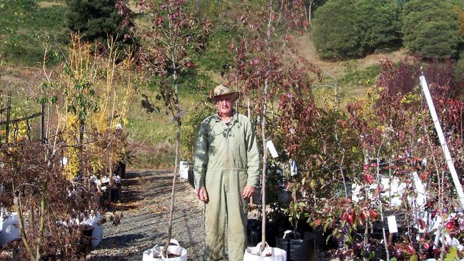 Cascades Nursery in Batlow is run by Ian McCorkindale and his wife, Manda. Picture: Cascades Nursery