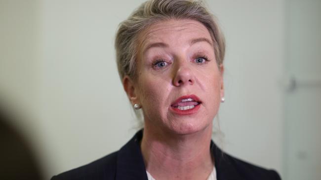 Bruce Lehrmann’s former boss, Senator Bridget McKenzie. Picture: NCA NewsWire / Gary Ramage