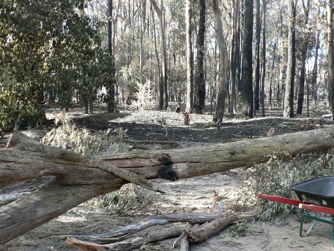 Not much survived the fires.