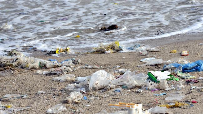 The waste export ban aims to limit the amount of waste in the oceans.