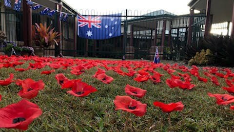 Poppies at Wiryuna Aged Care Centre Carbrook