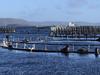 Reef-style fight over Tassie wilderness world heritage