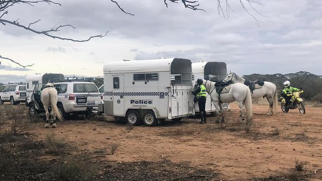 Police are searching for Deborah Pilgrim, last seen on Pearce Rd, Sedan. Picture: 7 News