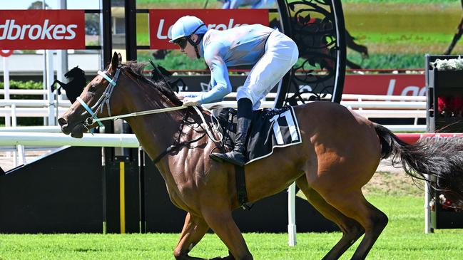 Financially Famous winning on debut at Eagle Farm in March. Picture: Grant Peters/Trackside Photography