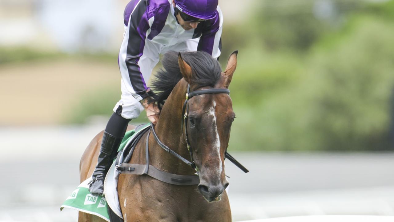 Rathoran after winning recently at Tamworth. Photo: Bradley Photos.