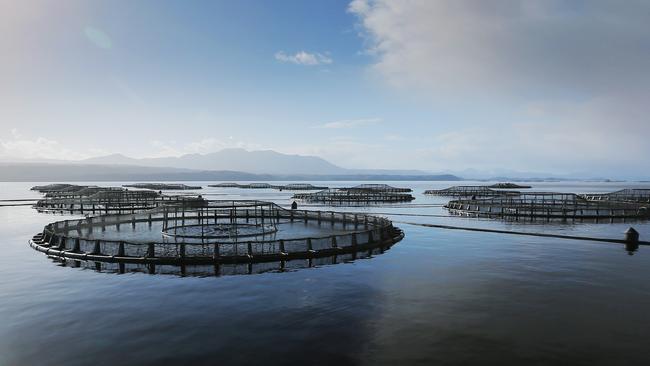 Fish farms would face a 10 per cent royalty under a Greens plan. Picture: MATHEW FARRELL