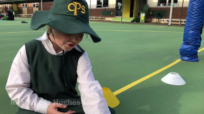 Chifley Public School prepares workforce of the future 