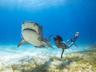 PACKING IT: Byron Bay's 'Shark Girl' Madison Stewart with a friend.