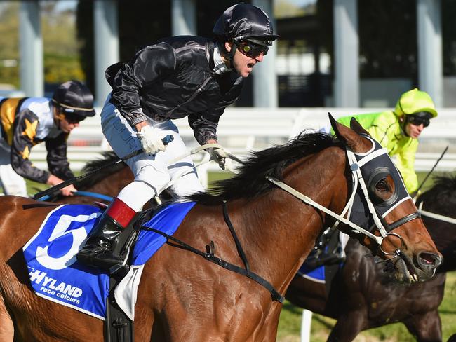 MELBOURNE, AUSTRALIA - SEPTEMBER 26:  Vlad Duric riding Mourinho reacts after winning Race 7, the Underwood Stakes during Melbourne Racing at Caulfield Racecourse on September 26, 2015 in Melbourne, Australia.  (Photo by Vince Caligiuri/Getty Images)