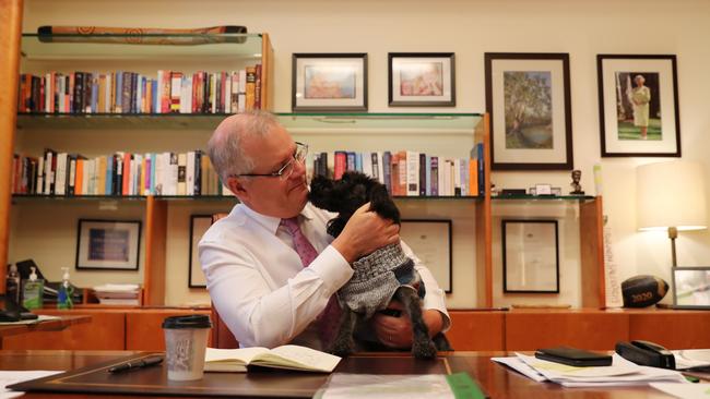 Scott Morrison’s dog Buddy caused a bit of a row with the neighbours in Sydney. Picture: Adam Taylor