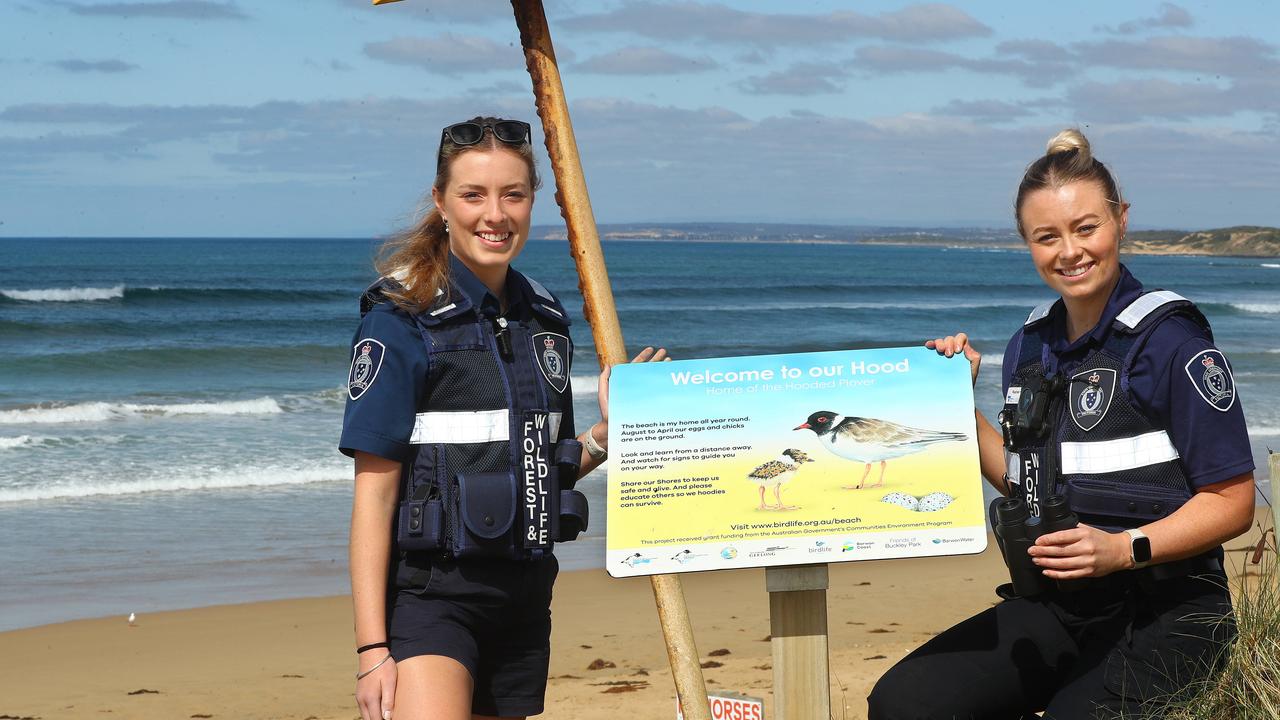 Forrest and Wildlife officers Elyce Gray and Rachel Hansen in the hooded plover breeding area at 13th Beach. Picture: Alison Wynd