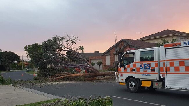 Whittlesea SES responding to a fallen tree on Thursday evening.