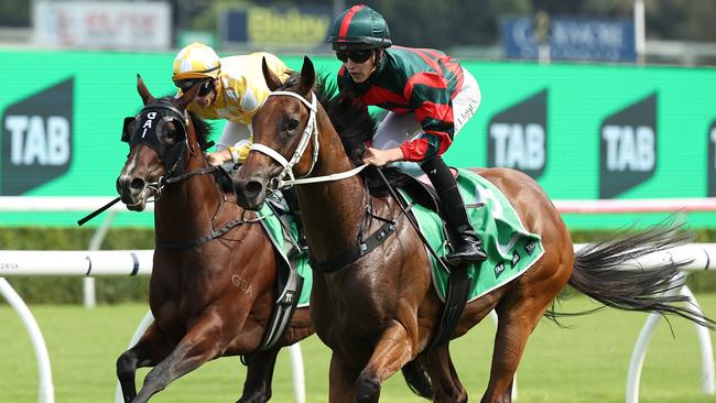 Lady Shenandoah is the early favourite for the Doncaster Mile. Picture: Jeremy Ng/Getty Images