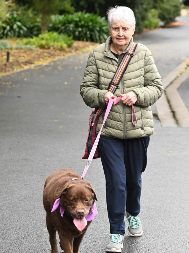 Million Paws Walk at Adelaide Botanic Gardens. Picture: Brenton Edwards