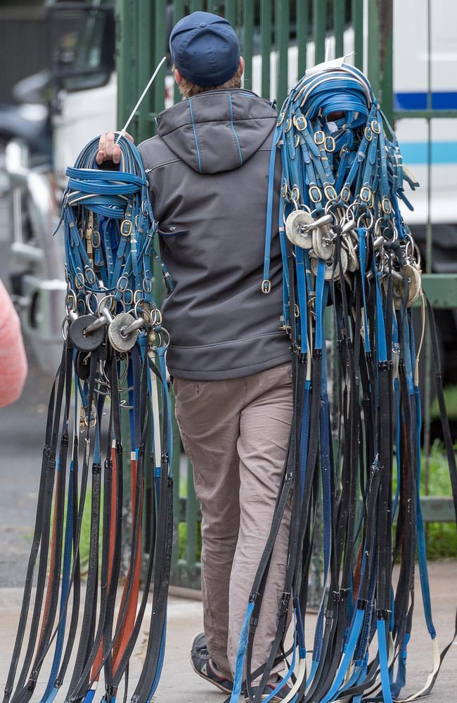 Everything from bridles to rugs were sold at Wednesday’s auction. Picture: Jake Nowakowski