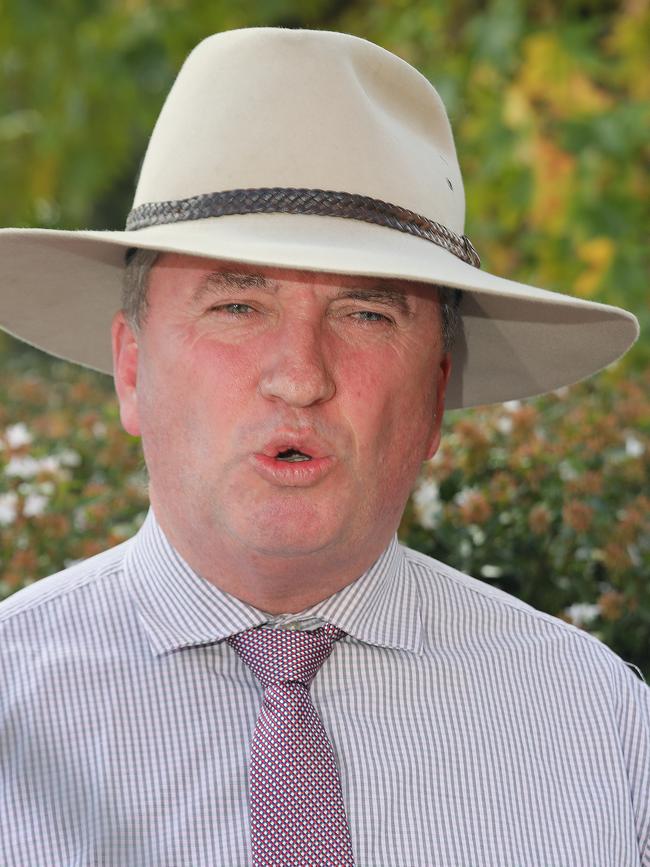 Nationals MP Barnaby Joyce. Picture: AAP Image/Steve Gonsalves