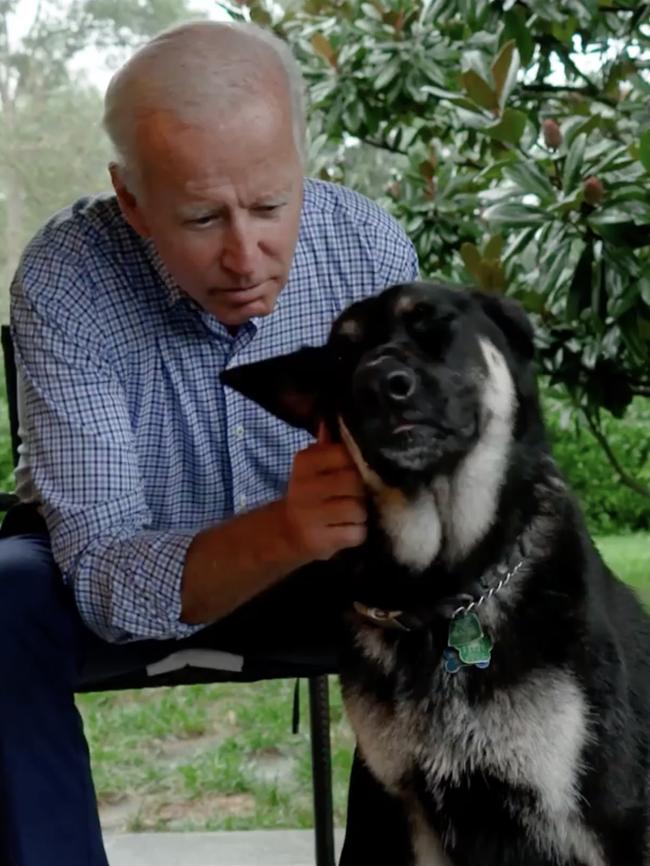 Major will become the first rescue dog to live in the White House.