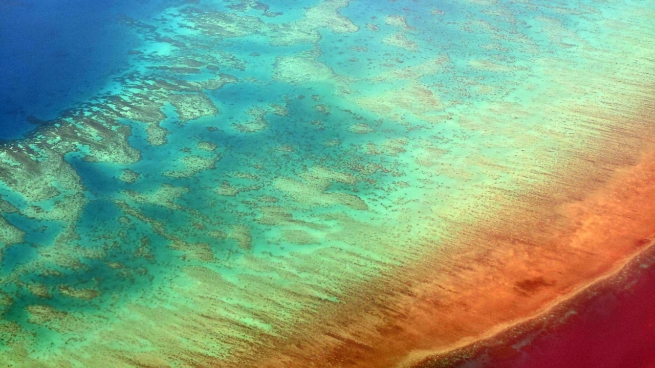 Great Barrier Reef declared 'in danger' by UNESCO