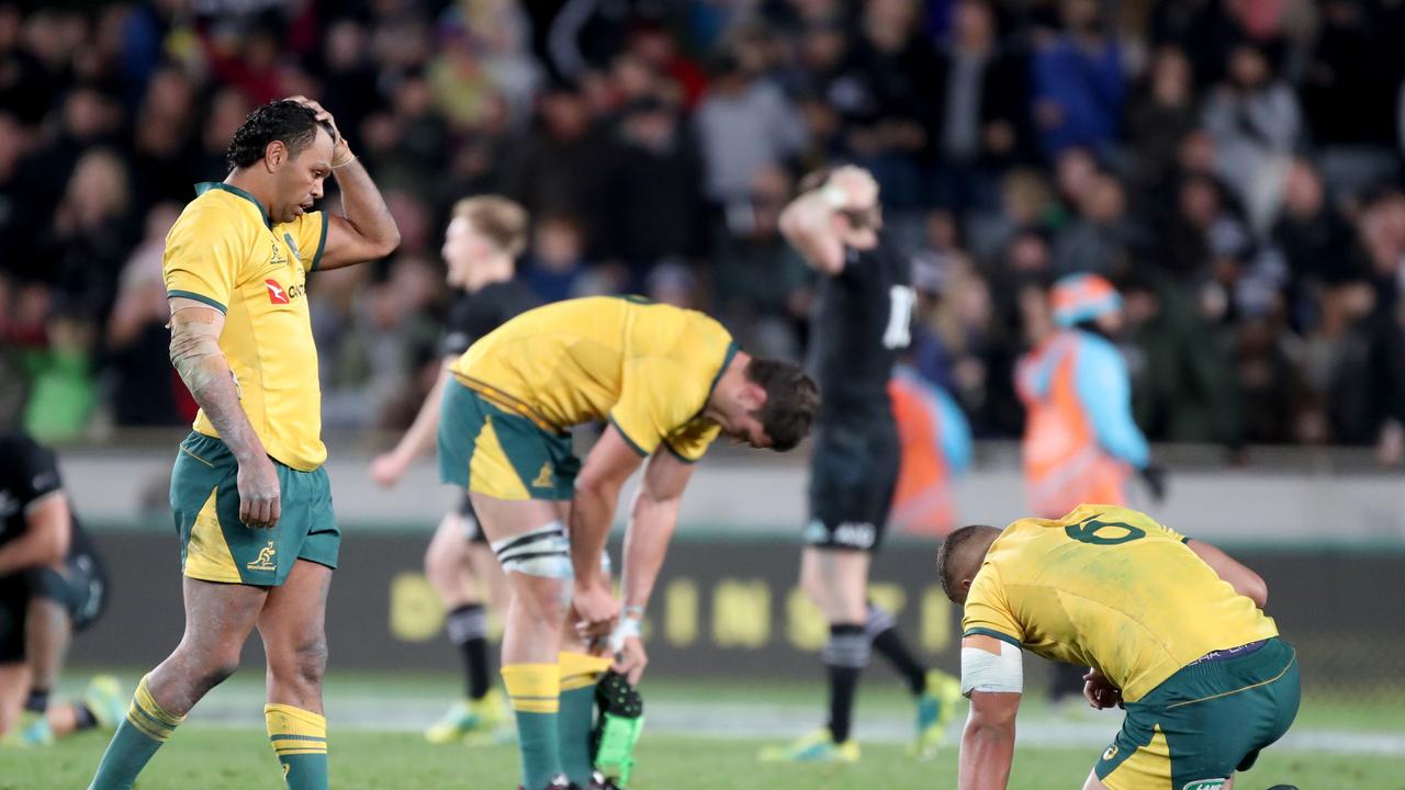 Bledisloe Cup Highlights, Wallabies V All Blacks Five Key Moments ...