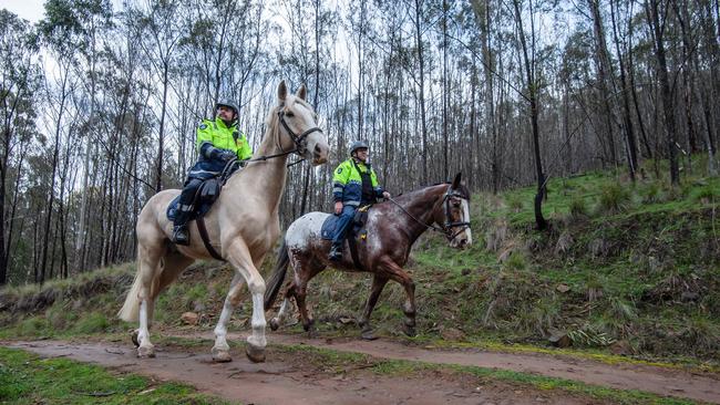 The search for Mr Boyden was focused on huts and cabins deep in the bush. Picture: Jason Edwards