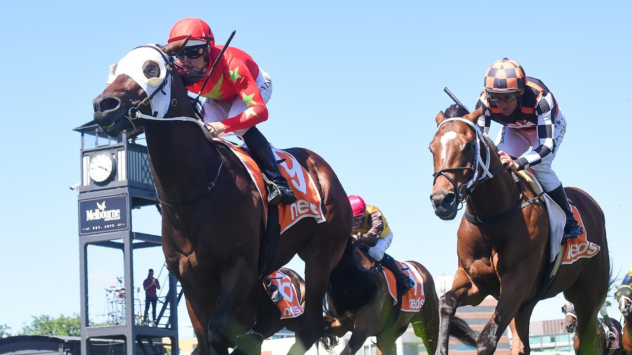 Neds Sandown Guineas