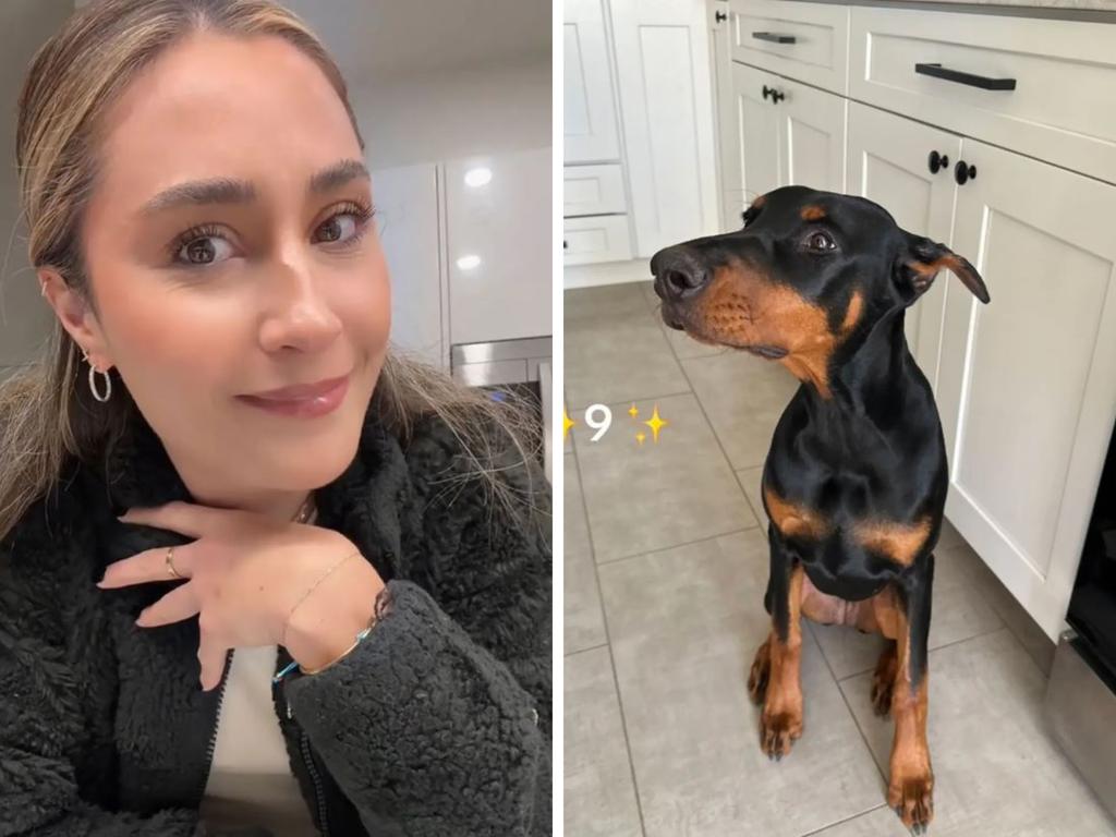 A woman has riled up TikTok viewers after claiming that a stranger offered her $US200,000 ($303,000) for her Doberman pinscher puppy. Picture: TikTok