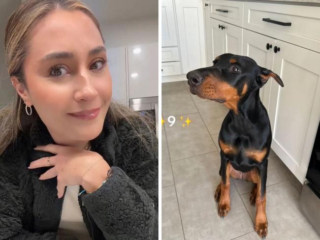 A woman has riled up TikTok viewers after claiming that a stranger offered her $US200,000 ($303,000) for her Doberman pinscher puppy. Picture: TikTok