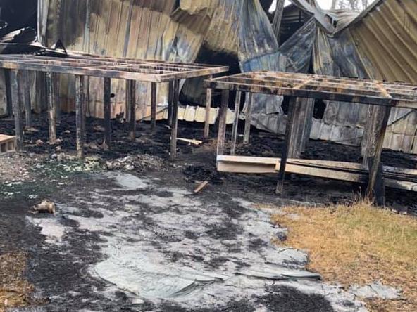 Jeremy Sternson's 400 acre property between Dinner Plain and Cobungra has been razed by fire. It burnt on January 4, 16 years to the day since he signed the contract to purchase the property. His horses, Sox and Mary, miraculously survived by sheltered in one of two small valleys that didn't burn.