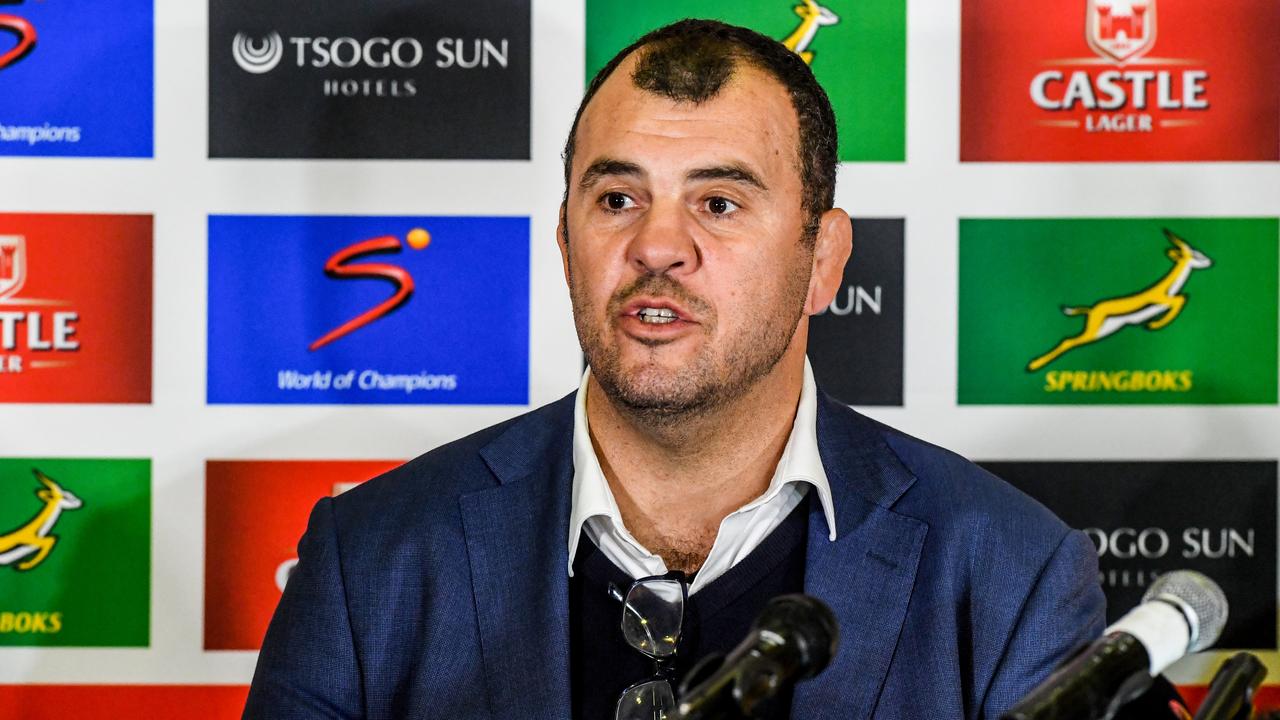 Michael Cheika says there are positives to take out of the Wallabies’ loss to the Springboks.