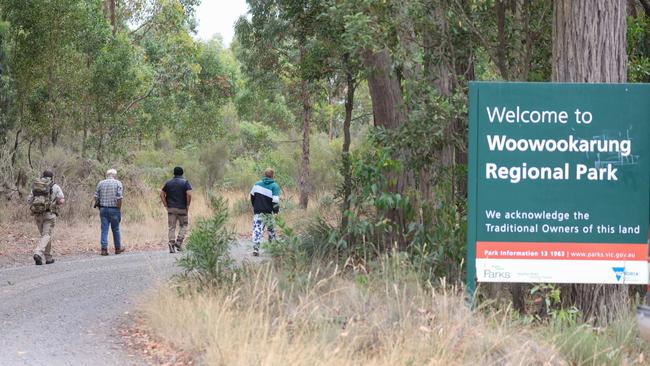 Vast areas of bushland have been searched during the investigation into Ms Murphy’s disappearance. Picture: Brendan Beckett