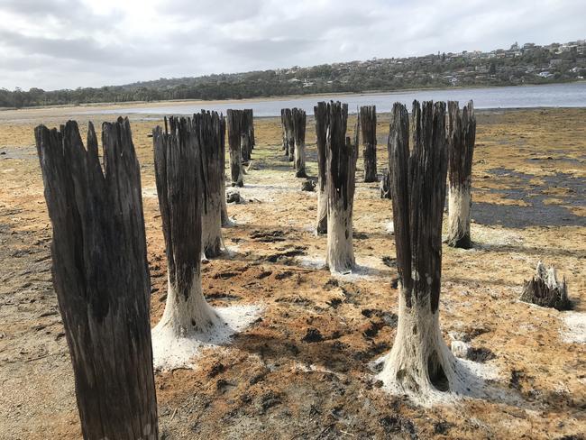 The anti-tank obstacle in Dee Why Lagoon in 2020. Picture Manly Daily