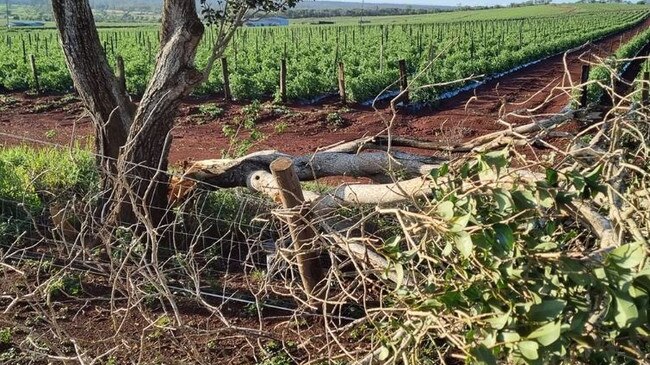 Some of the damage caused by a supercell storm that slammed into Bucca, Queensland, on Tuesday night. Picture: Tayla Gilson