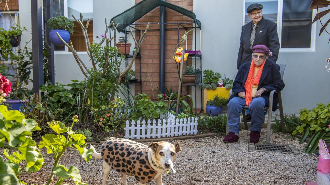 Toowoomba Care Services resident Mary Lester loved the visiting RSPCA dog Freckles so much she adopted him. She is pictured with her husband Vince Lester. Picture: Nev Madsen.