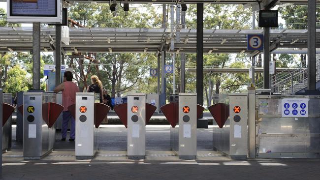 Police were called to the commuter carpark at Penrith Station to rescue two dogs.