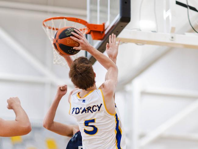 Concordia's Paddy D'Arcy at the 2024 Basketball Australia Schools Championships. Picture: Taylor Earnshaw