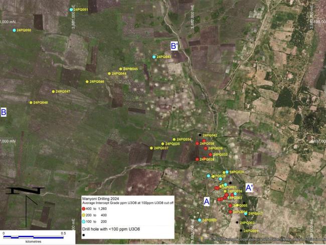 Manyoni 2024 drill holes colour coded to U3O8 grade. Pic: Moab Minerals