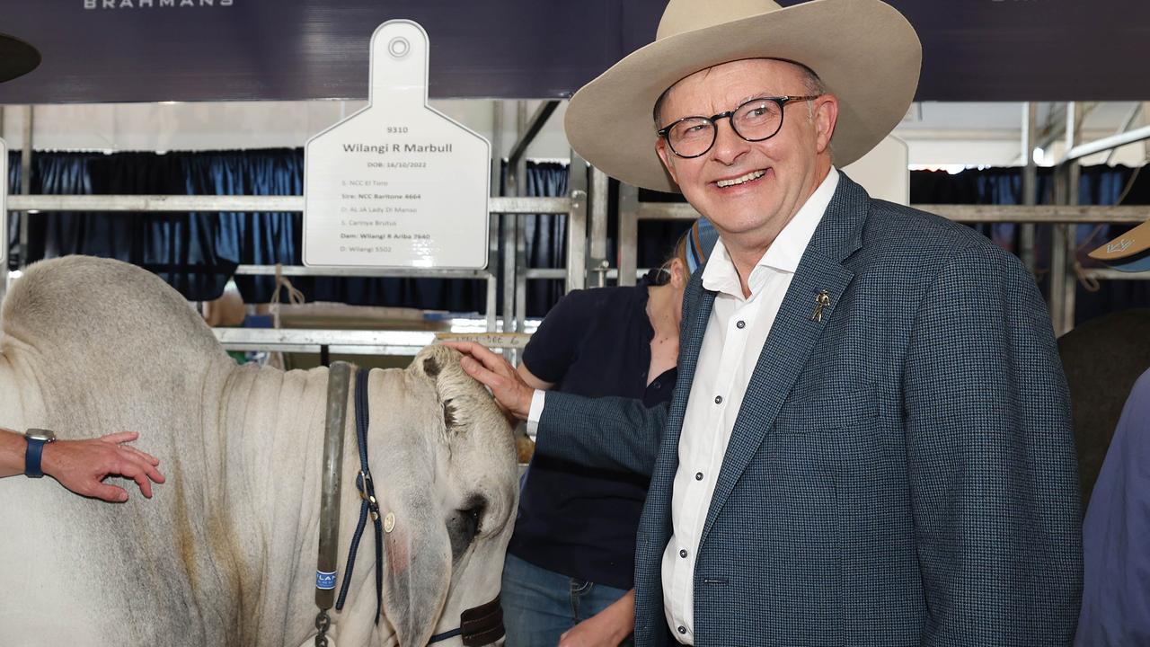 Premier Steven Miles and Prime Minister Anthony Albanese at Beef Week in Rockhampton.Pic Annette Dew