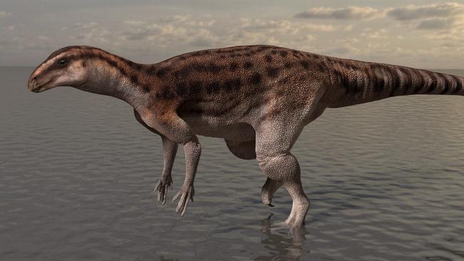 An impression of Pisanosaurus-like dinosaur responsible for the footprints