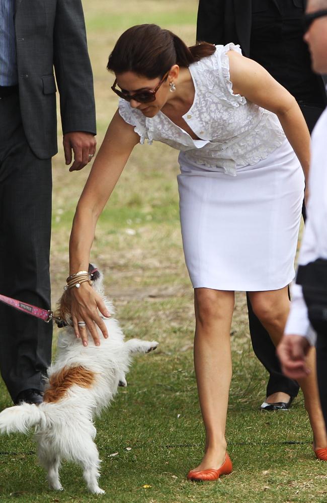 Charlie the dog gets under the ropes and up close to Princess Mary during her visit with Crown Prince Frederik of Denmark to 'Sculptures by the Sea' at Tamarama.