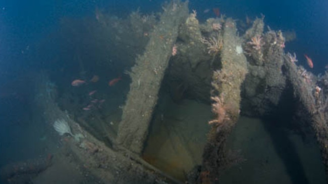 Divers Find Mystery Shipwreck Off Sydney Coast, Believed To Be Tug Boat 