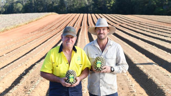 Sunshine Coast pineapple growers Ben and Roy Stokes say they’ve had a difficult year farming the popular fruit.