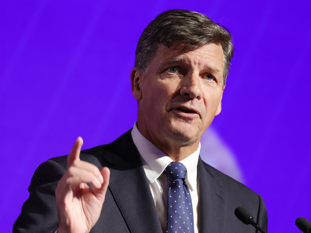 Angus Taylor has made his official pitch to lead the Liberal Party. Picture: NewsWire/ David Crosling