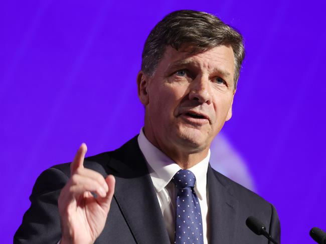 Angus Taylor has made his official pitch to lead the Liberal Party. Picture: NewsWire/ David Crosling