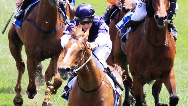 Blue Diamond favourite Extreme Choice steps out at Caulfield on Saturday. Picture: Jenny Evans