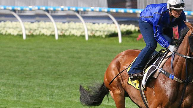 Happy Clapper has good form around Cox Plate rivals Winx and Lucia Valentina in the autumn. Picture: Ian Currie