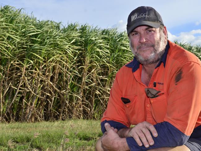 Dean Sgroi, a cane farmer,  says the regulations should return to what they were before the amendments in 2019.  Picture: Mikayla Mayoh