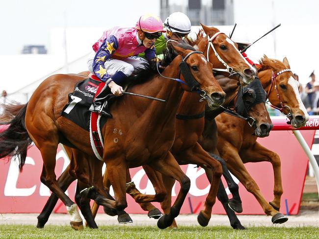 Expect De Little Engine to be steaming along at his home track. Picture: Colleen Petch. MelbourneCup15