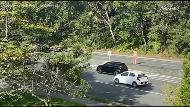 Man runs onto busy Gold Coast road to save koala